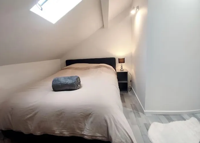 Rue Leopold Bourg Appartement Épinal