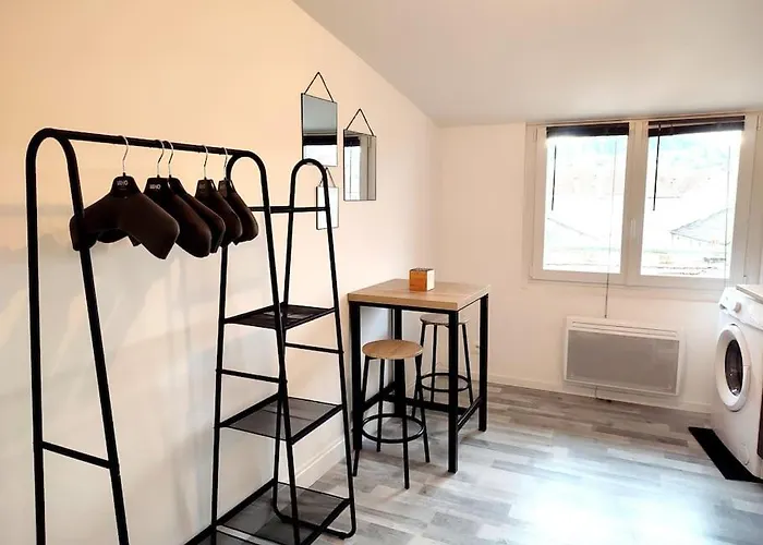 Rue Leopold Bourg Appartement